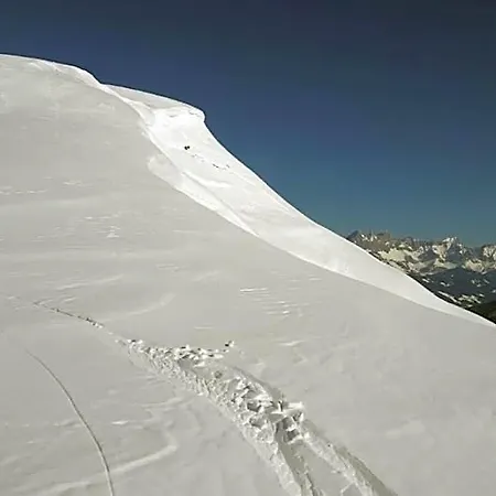 Haus Alpenheim 招待所