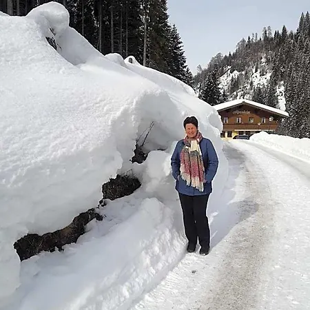 Haus Alpenheim 弗拉绍