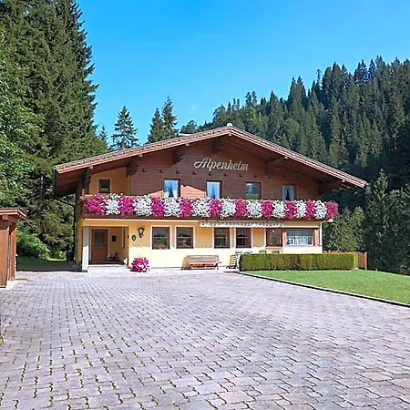 招待所 Haus Alpenheim