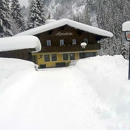 Haus Alpenheim 招待所