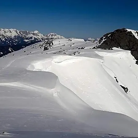 Haus Alpenheim 招待所 弗拉绍