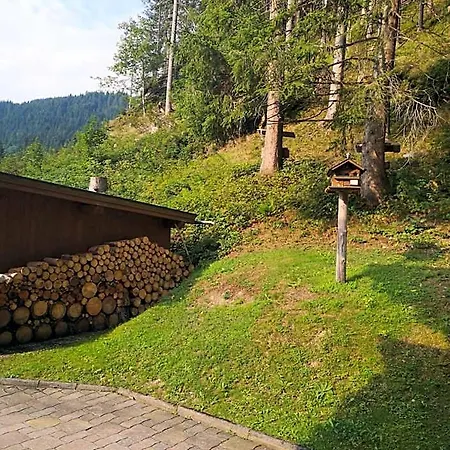 招待所 Haus Alpenheim 3*