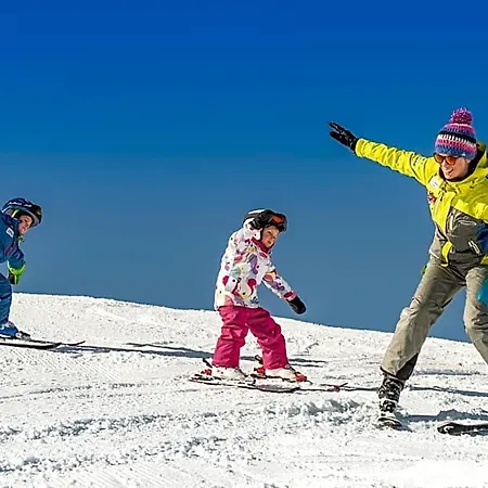 Haus Alpenheim 3*