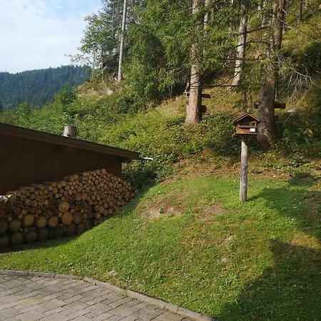 Haus Alpenheim 招待所
