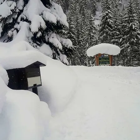Haus Alpenheim *