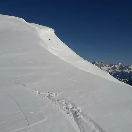 招待所 Haus Alpenheim